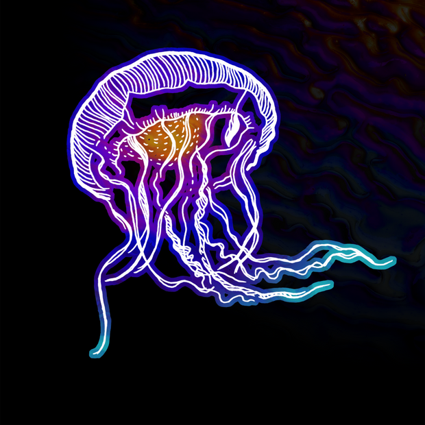 media-card-background