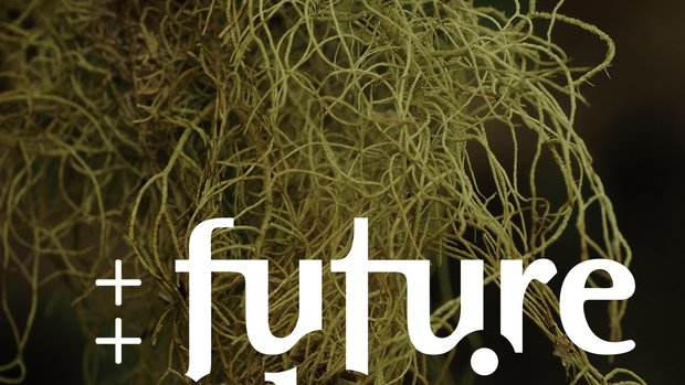 [CONVERSATION] Skye Augustine // Diving Deep into Sea Gardens