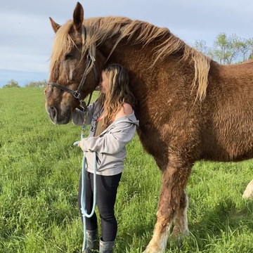 Summer Brennan (formerly Paul Bunyan the horse) Patreon Creator Profile