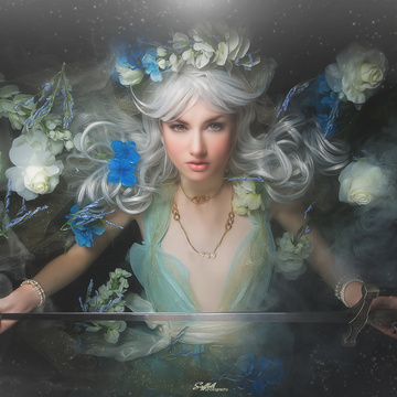 Saffels Photography Patreon Creator Profile