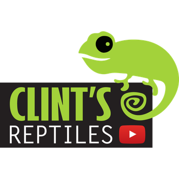 Clint's Reptiles