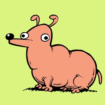 Neil Kohney Patreon Creator Profile