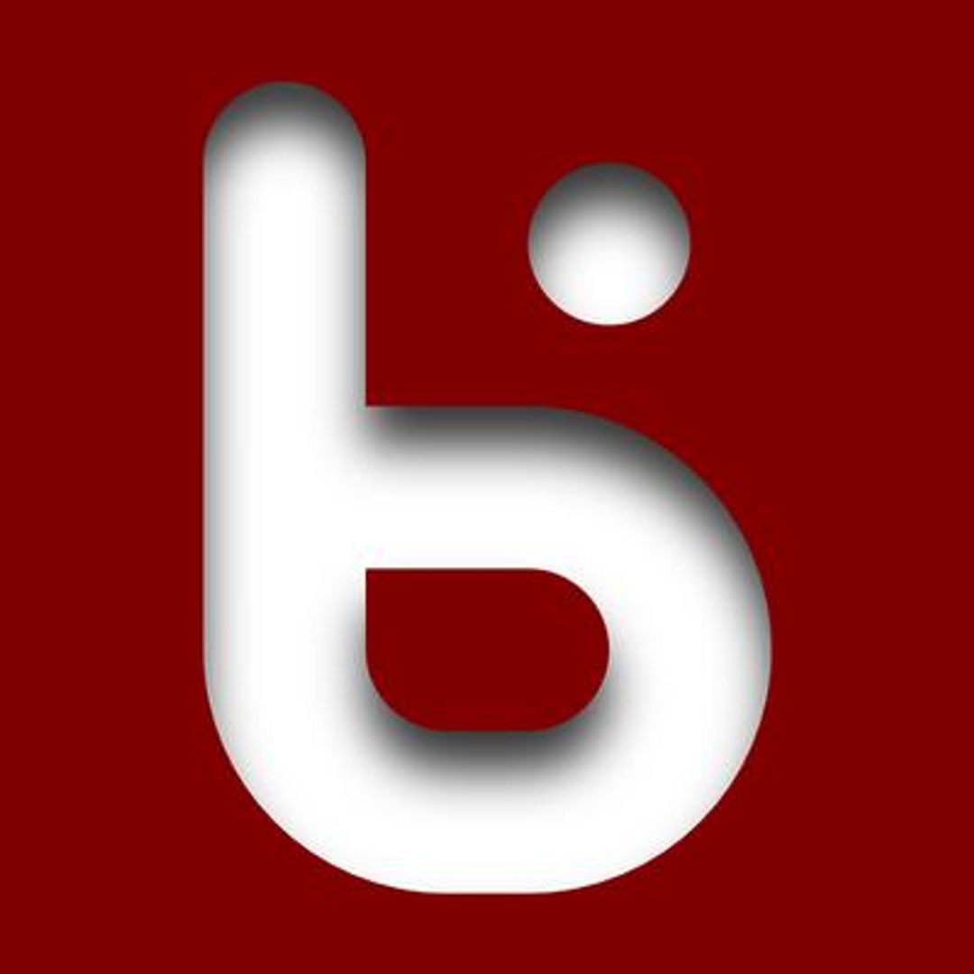 bitluni