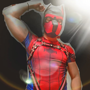 Spidey Pup