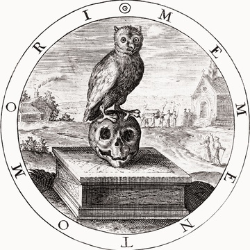 The Morbid Anatomy Online Journal