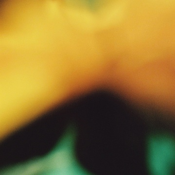 Illu