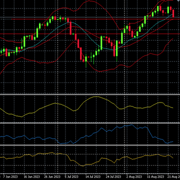 ONLY USDJPY GIRL (TRADER)