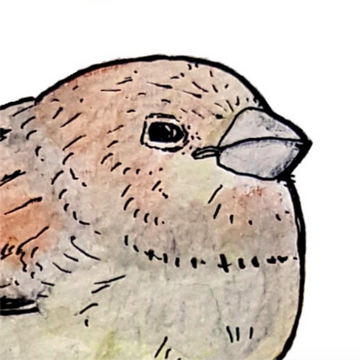 Birdstrips