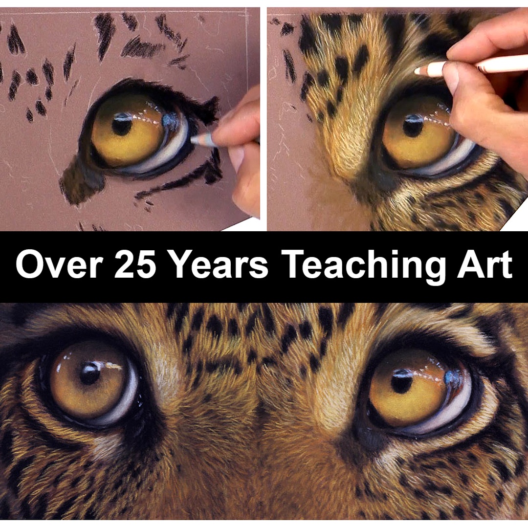 Jason Morgan Art Drawing & Painting Animals Wildlife Pets
