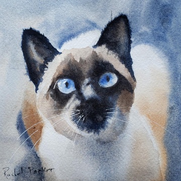 Rachel Parker's Watercolor Workshop