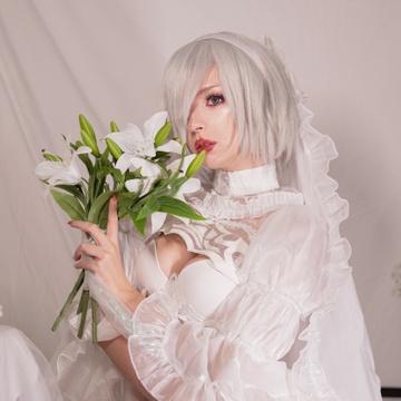 月姫Himee