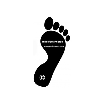Blackfoot Photos
