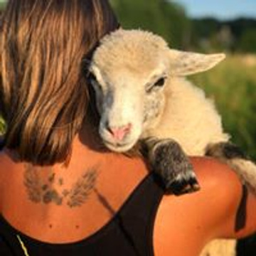 Black Goat Sanctuary's Patreon profile picture
