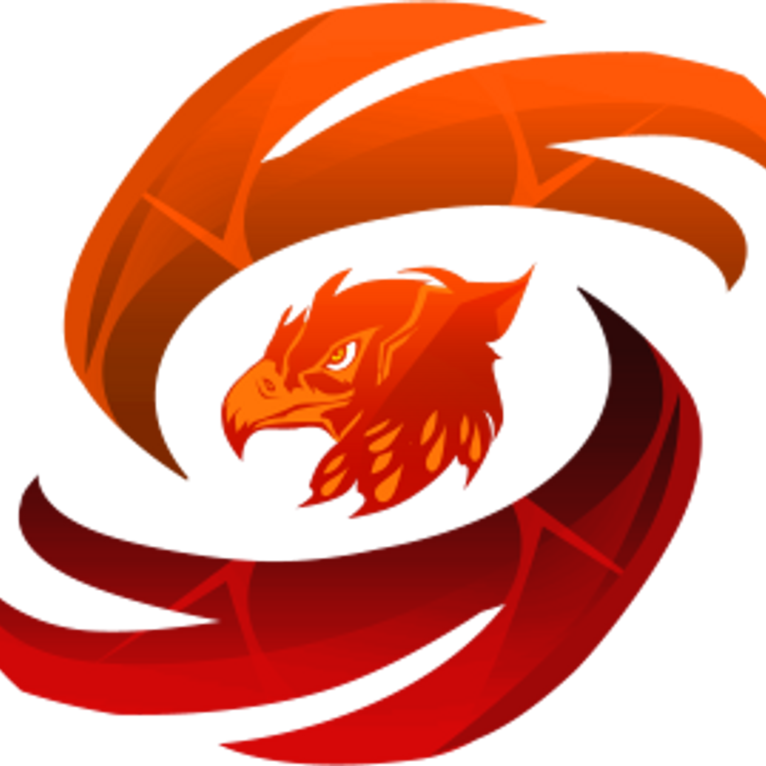 Team Phoenix