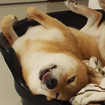 Neo Koh Patreon Creator Profile