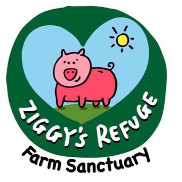 Ziggys Refuge Farm Sanctuary