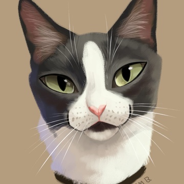 Sam Bragg Patreon Creator Profile