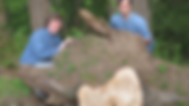 Episode 1110