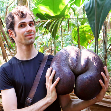 Jared Rydelek