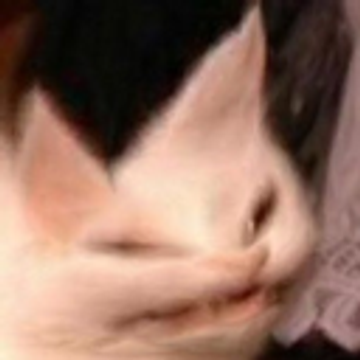 ABBADON's Patreon profile picture