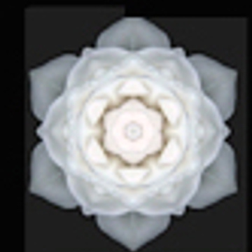 transCODES Energy Healing, Coaching & Training
