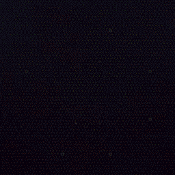 Holodexxx