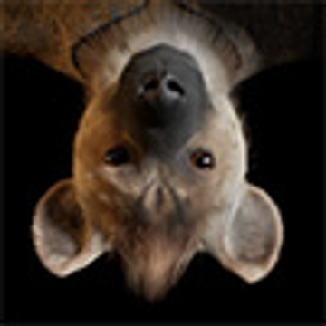 Kertit Production's Patreon profile picture