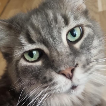 m4xw Patreon Creator Profile