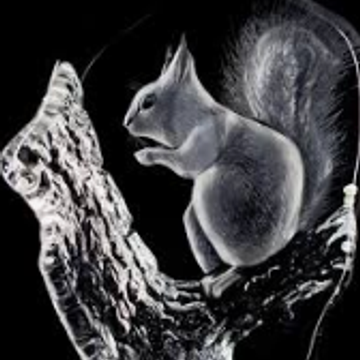 Crystal Squirrel Patreon Creator Profile