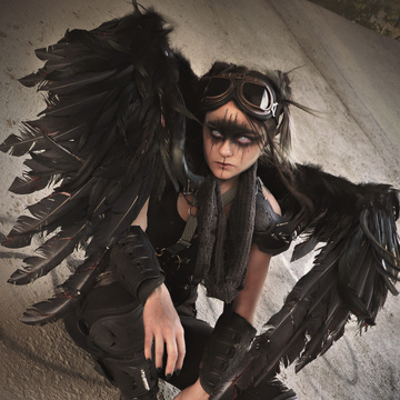 The Crooked Feather