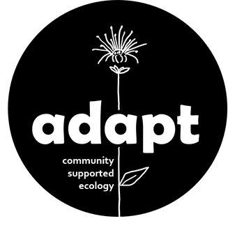 adapt