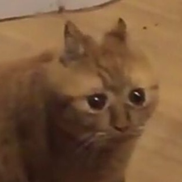 zccblp