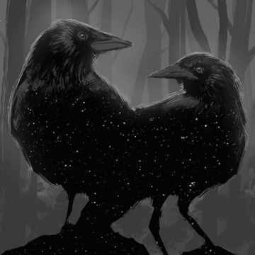 Weird Studies's Patreon profile picture