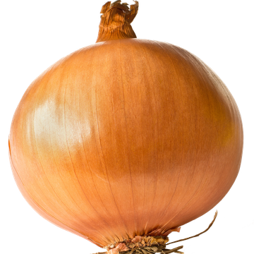 One Giant Onion