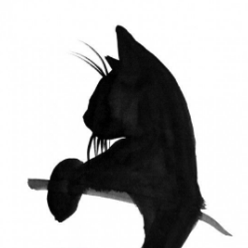 Airell's Patreon profile picture