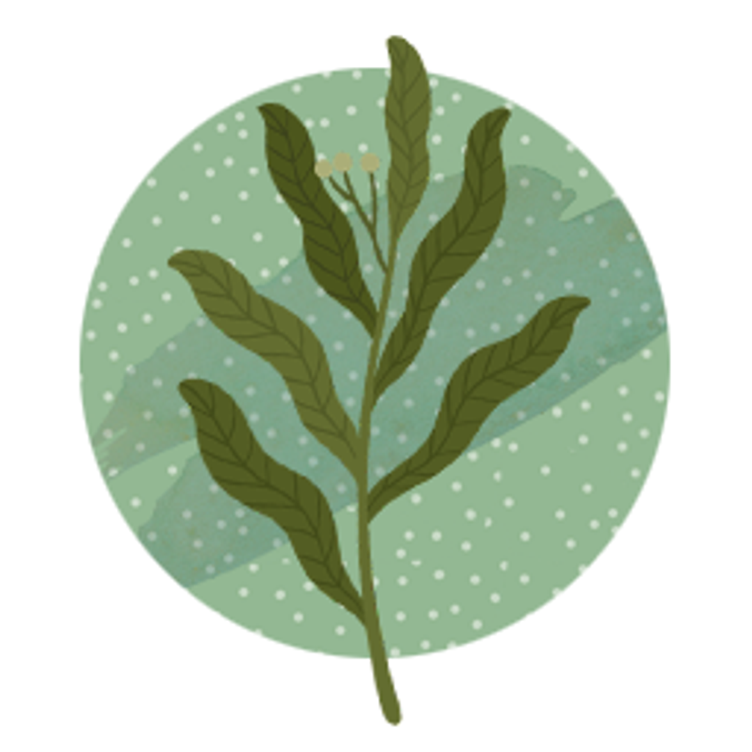 leaf-motif