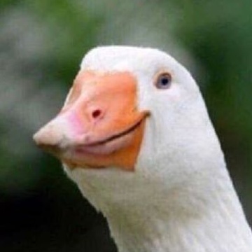 HappyDuck3D