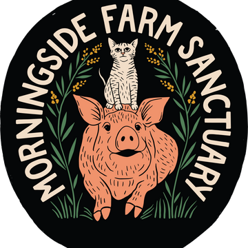Morningside Farm Sanctuary's Patreon profile picture