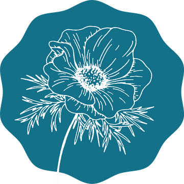 Luna Anemone