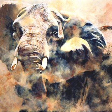 Paul Apps Wildlife Art