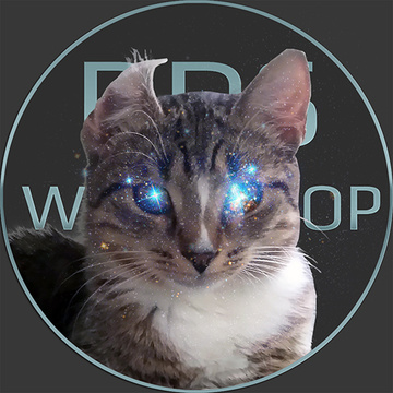 DDS Workshop
