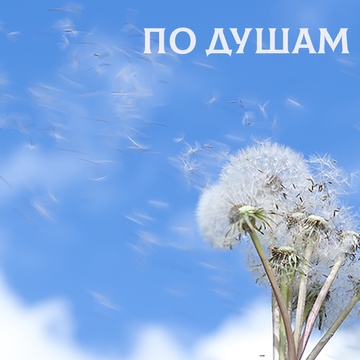 ПО ДУШАМ Patreon Picture
