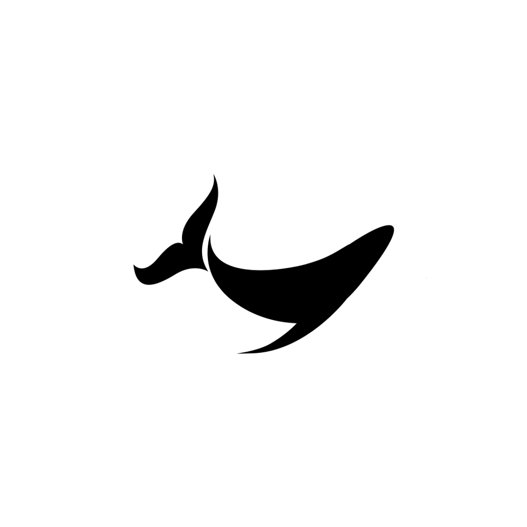 Black Whale Studio