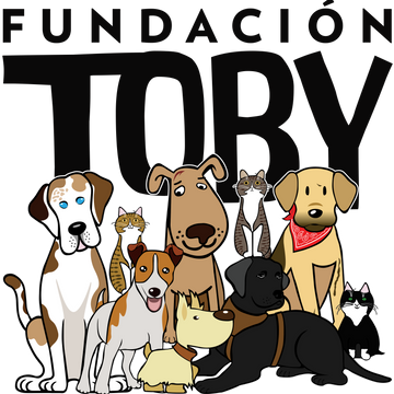 Fundación Toby