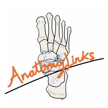 AnatomyLinks