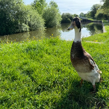 Caenhill Countryside Centre
