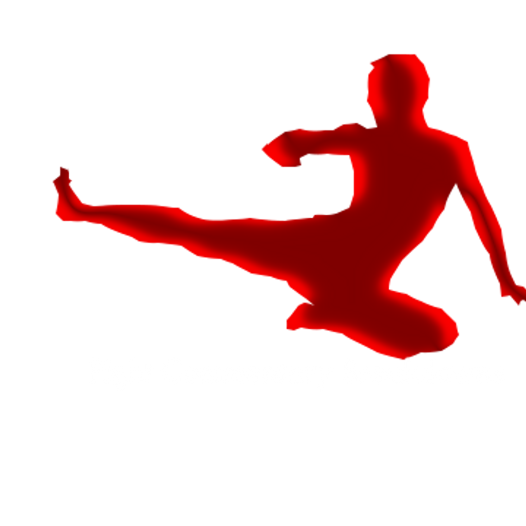 Fight Commentary Breakdowns