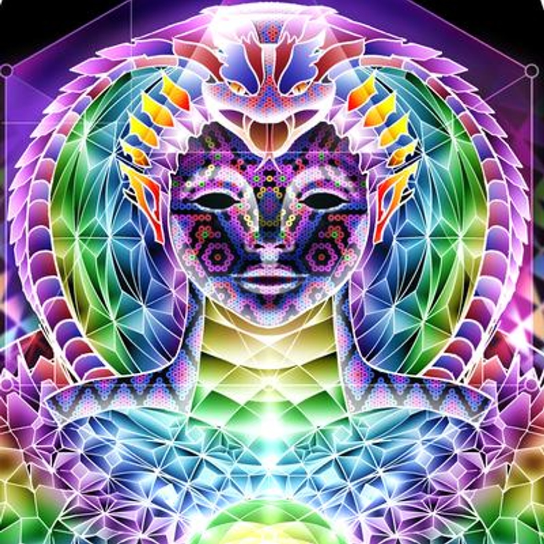 SalviaDroid