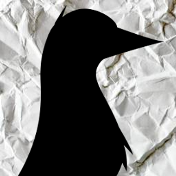 The Professional Prompt Maker