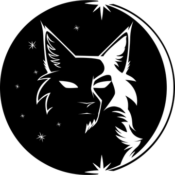 Star Cat Studio